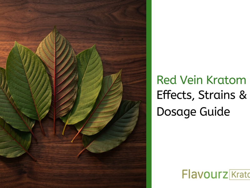 Red Vein Kratom: Effects, Strains & Dosage Guide