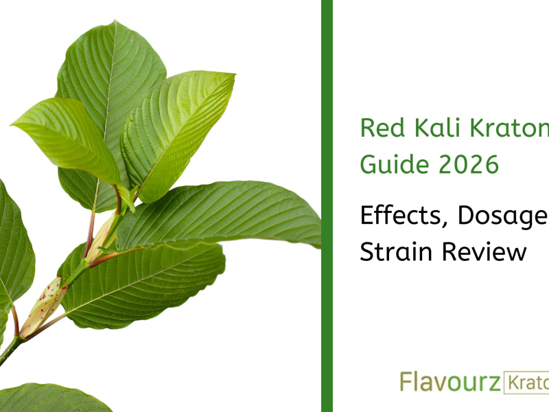 Red Kali Kratom Guide 2026: Effects, Dosage & Strain Review
