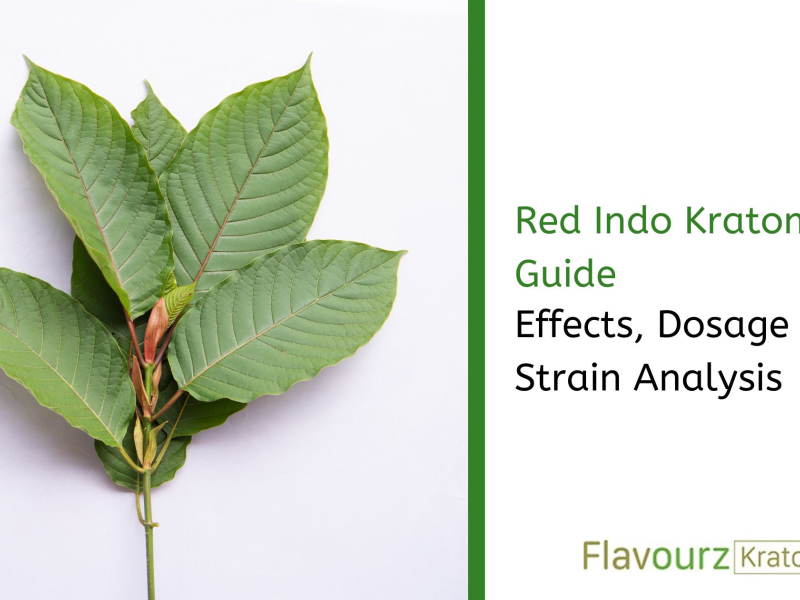 Red Indo Kratom Guide: Effects, Dosage & Strain Analysis
