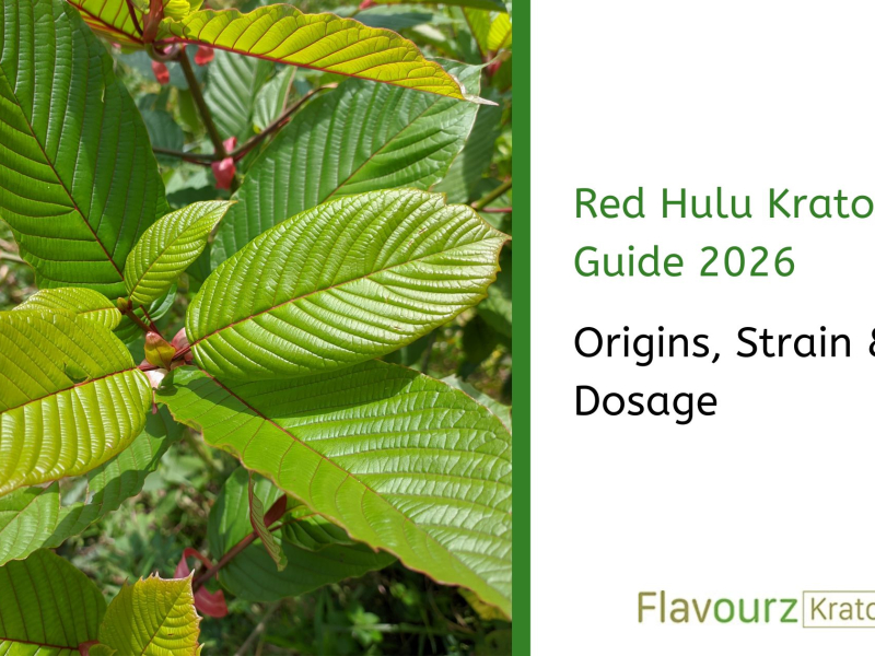 Red Hulu Kratom Guide 2026: Origins, Strain & Dosage