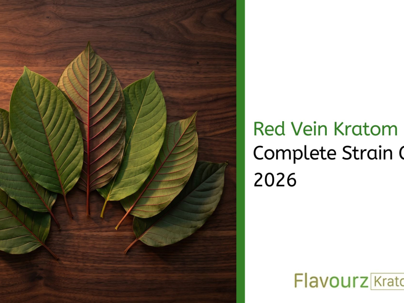 Red Vein Kratom: Complete Strain Guide 2026