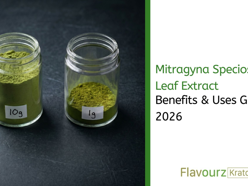 Mitragyna Speciosa Leaf Extract: Benefits & Uses Guide 2026