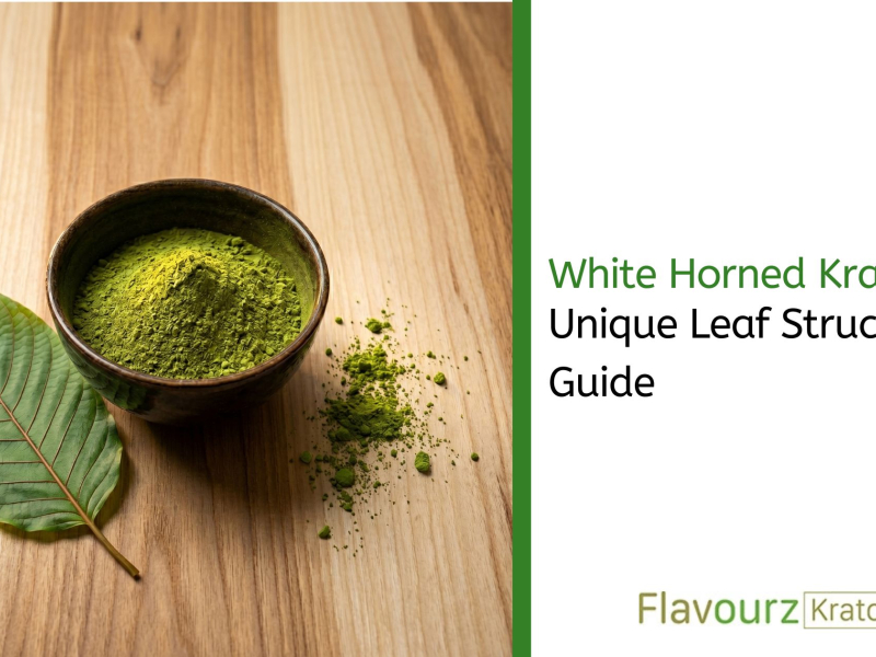 White Horned Kratom: Unique Leaf Structure Guide