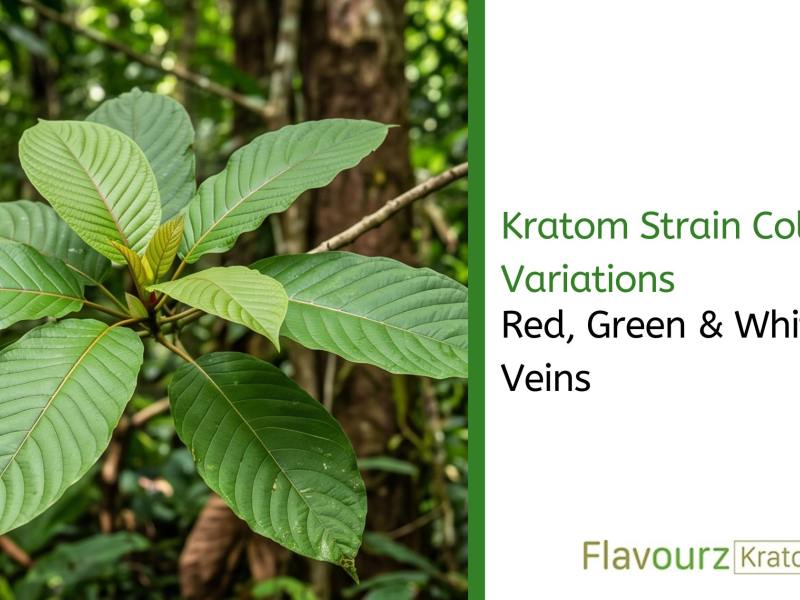 Kratom Strain Color Variations: Red, Green & White Veins