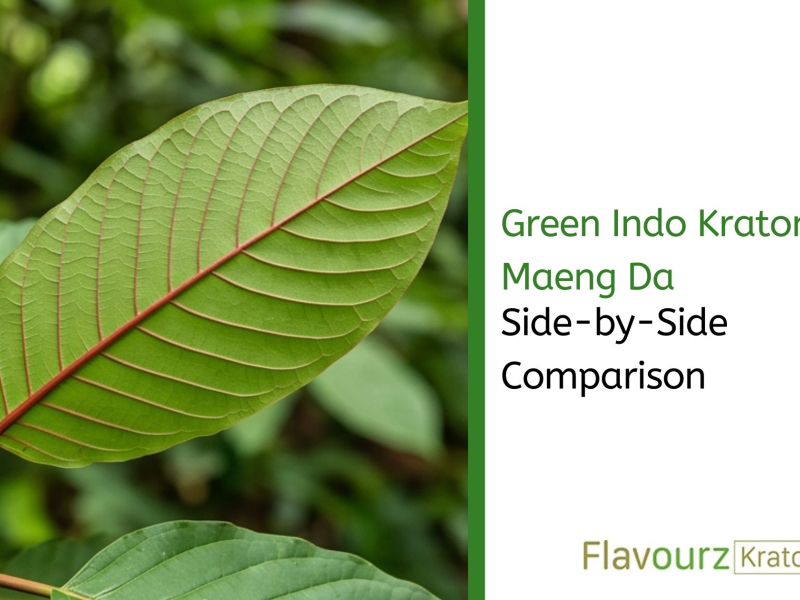 Green Indo Kratom vs Maeng Da: Side-by-Side Comparison