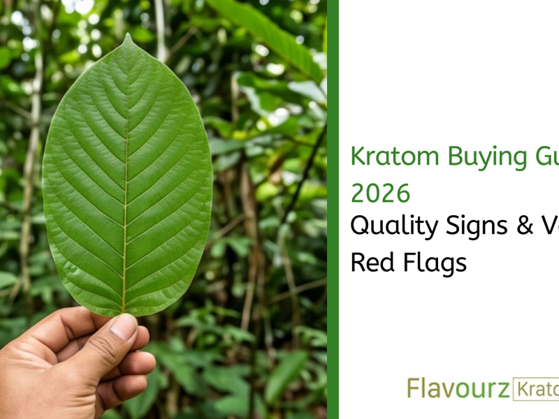 Kratom Buying Guide 2026: Quality Signs & Vendor Red Flags